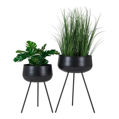 Lillepotid Ardola 2 tk, must / HN-9001170