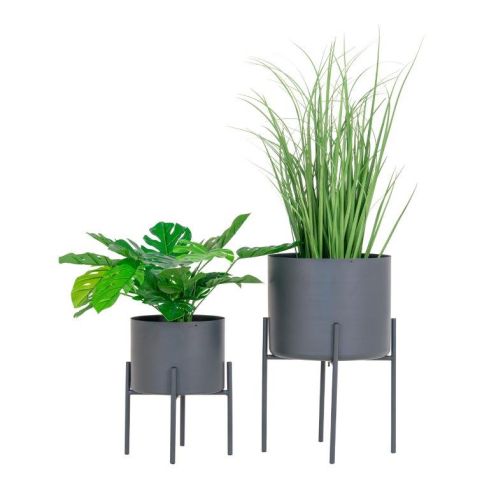 Lillepotid Pavia 2 tk, hall / HN-9001175