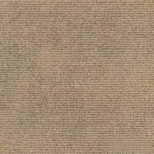 pruun-01-scaled-1 - Edited