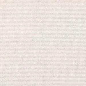 Beez-01-scaled-1 - Edited