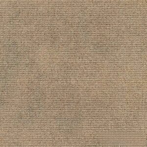 pruun-01-scaled-1 (1) - Edited