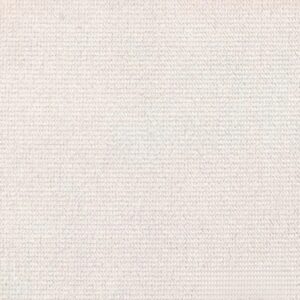 Beez-01-scaled-1 (2) - Edited