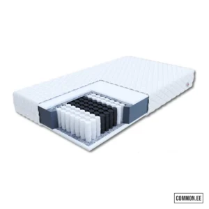 Treviso-Max-2-01-scaled-1