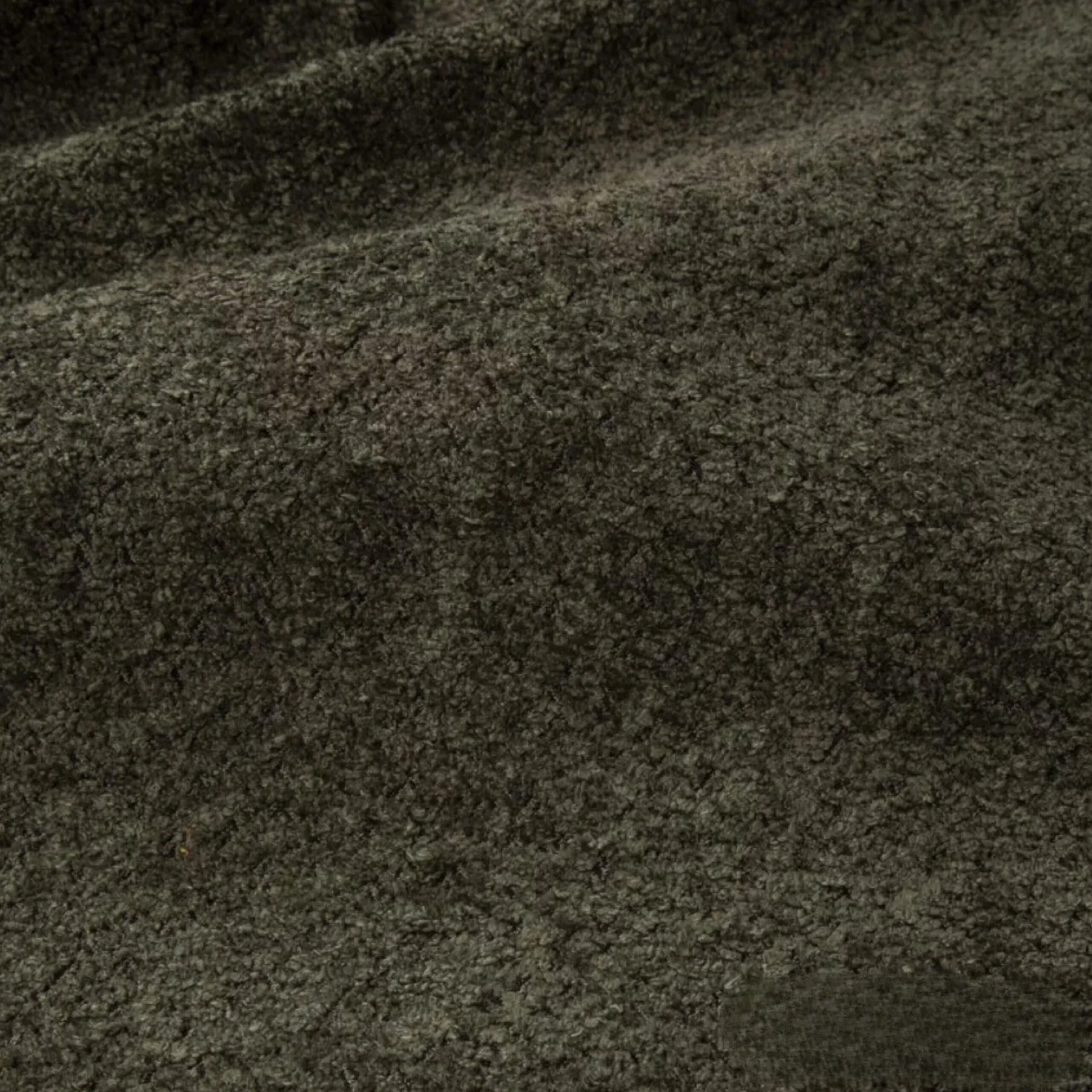 Winter-Moss-1-01-scaled-1 - Edited