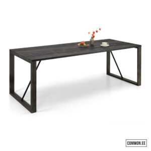 Söögilaud Triin – vaade 9
