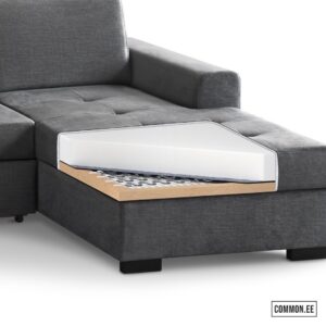 Axel Mini voss15 przekrój zoom(small)