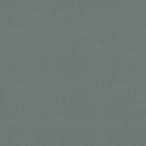 Vega_88-71942