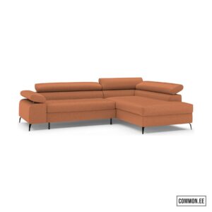 Verso egon42 RUST(small)