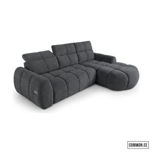 Sorena raven16 (small)