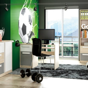 Troop 14 Kirjutuslaud