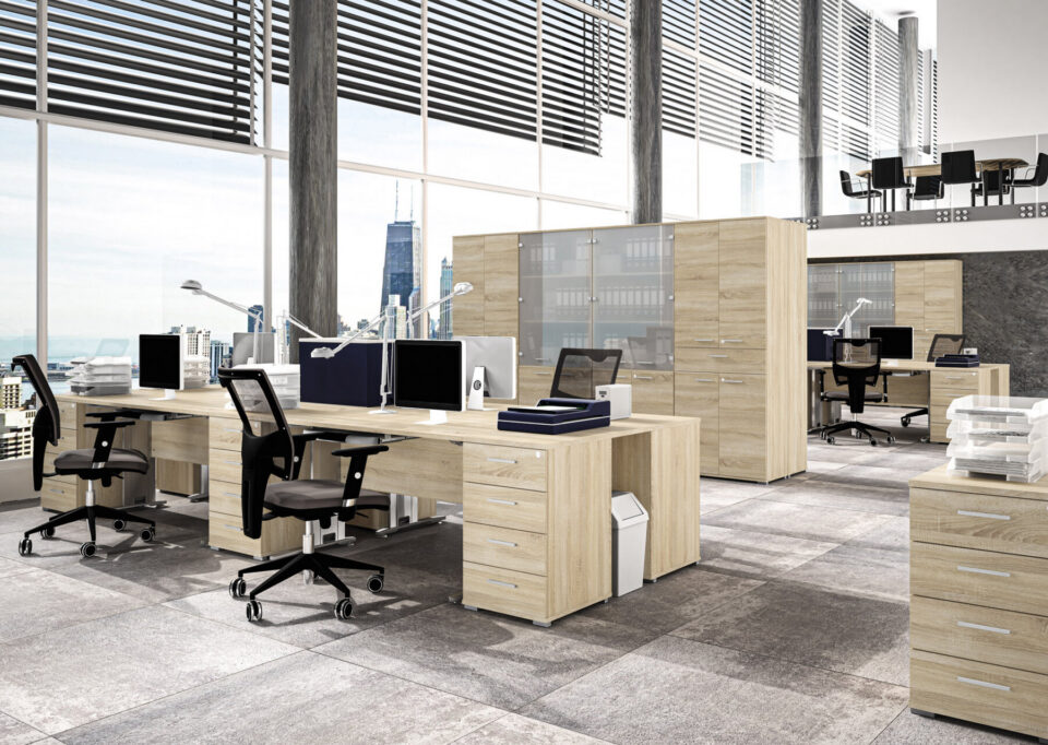 Optima 01 Dokumendikapp