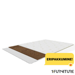 Boston-Coco-01-scaled