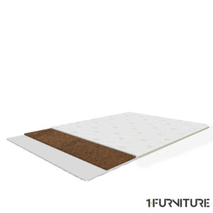 Boston-Coco-1-01-scaled