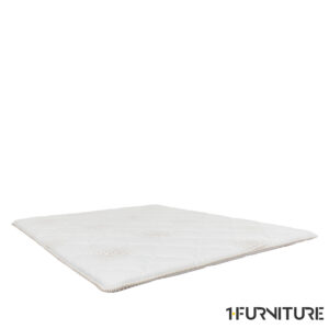 Boston-Coco-Brown-01-1-scaled