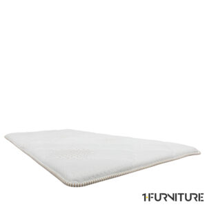 Boston-Coco-Brown-01-scaled