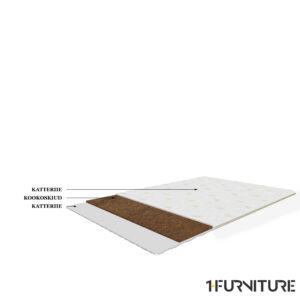 Boston-Coco-joonis-01-scaled