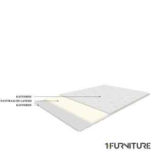 Boston-Lateks-joonis-01-scaled