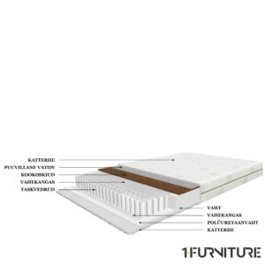 Bravo-joonis-01-scaled