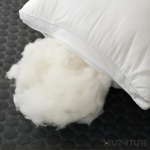 Feather-Cloud-5-01-scaled