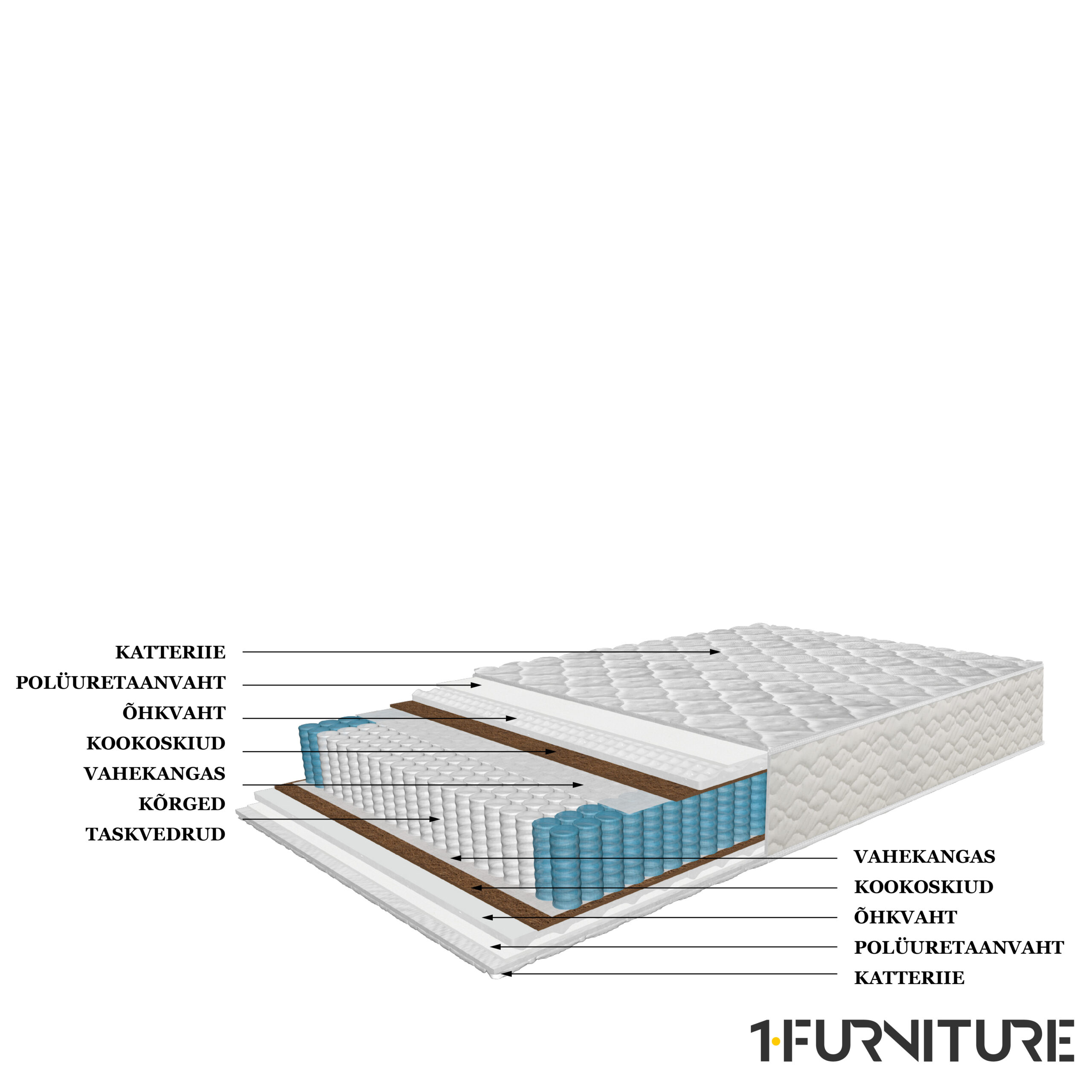Luxury-Dream-Coco-joonis-01-scaled