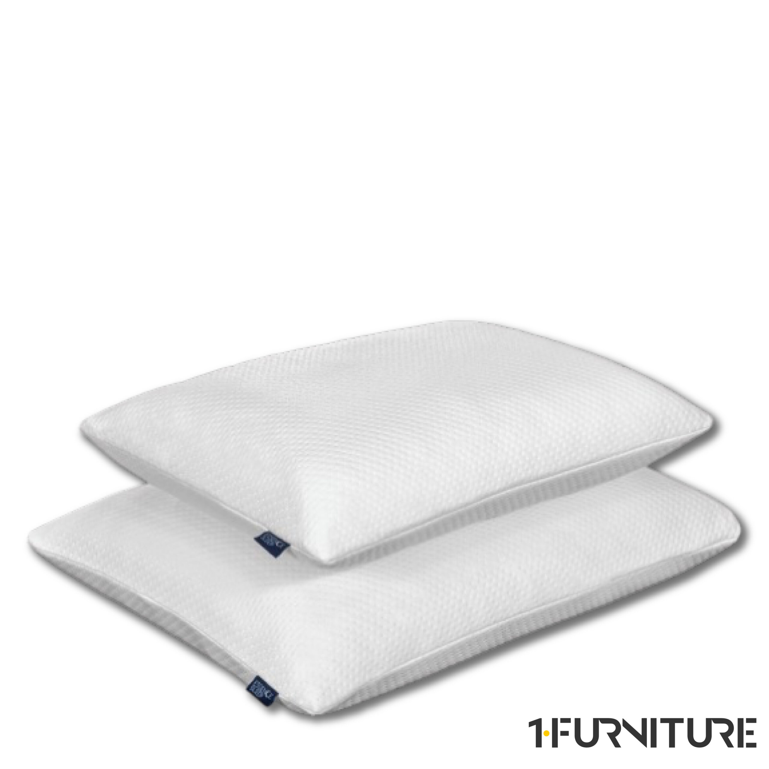 Memory-Shredded-2-01-scaled