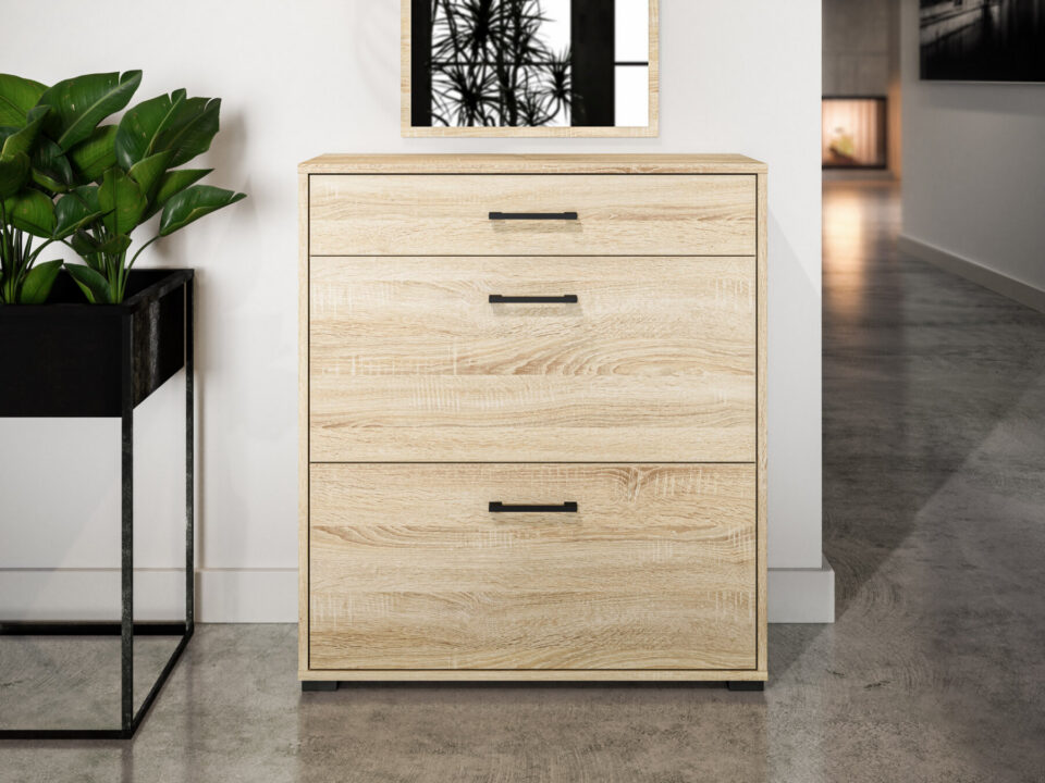 Karol 10 Jalatsikapp