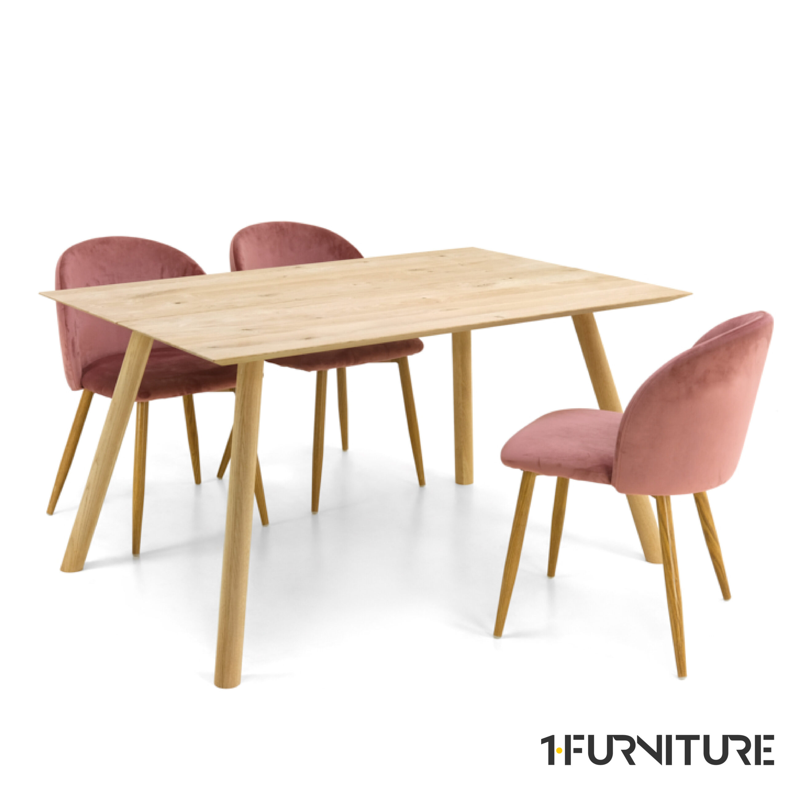 Palma-Tamm-2-01-scaled