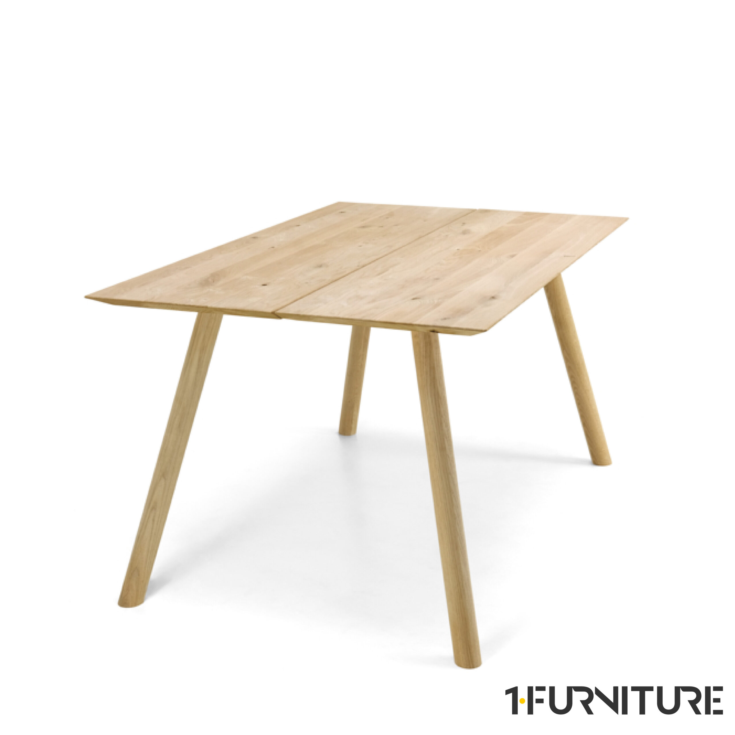 Palma-Tamm-4-01-scaled