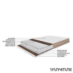 Samba-Coco-joonis-01-scaled