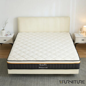 Teddy-Lux-2-01-scaled