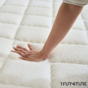 Teddy-Lux-3-01-scaled