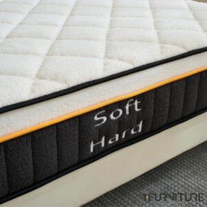 Teddy-Lux-5-01-scaled