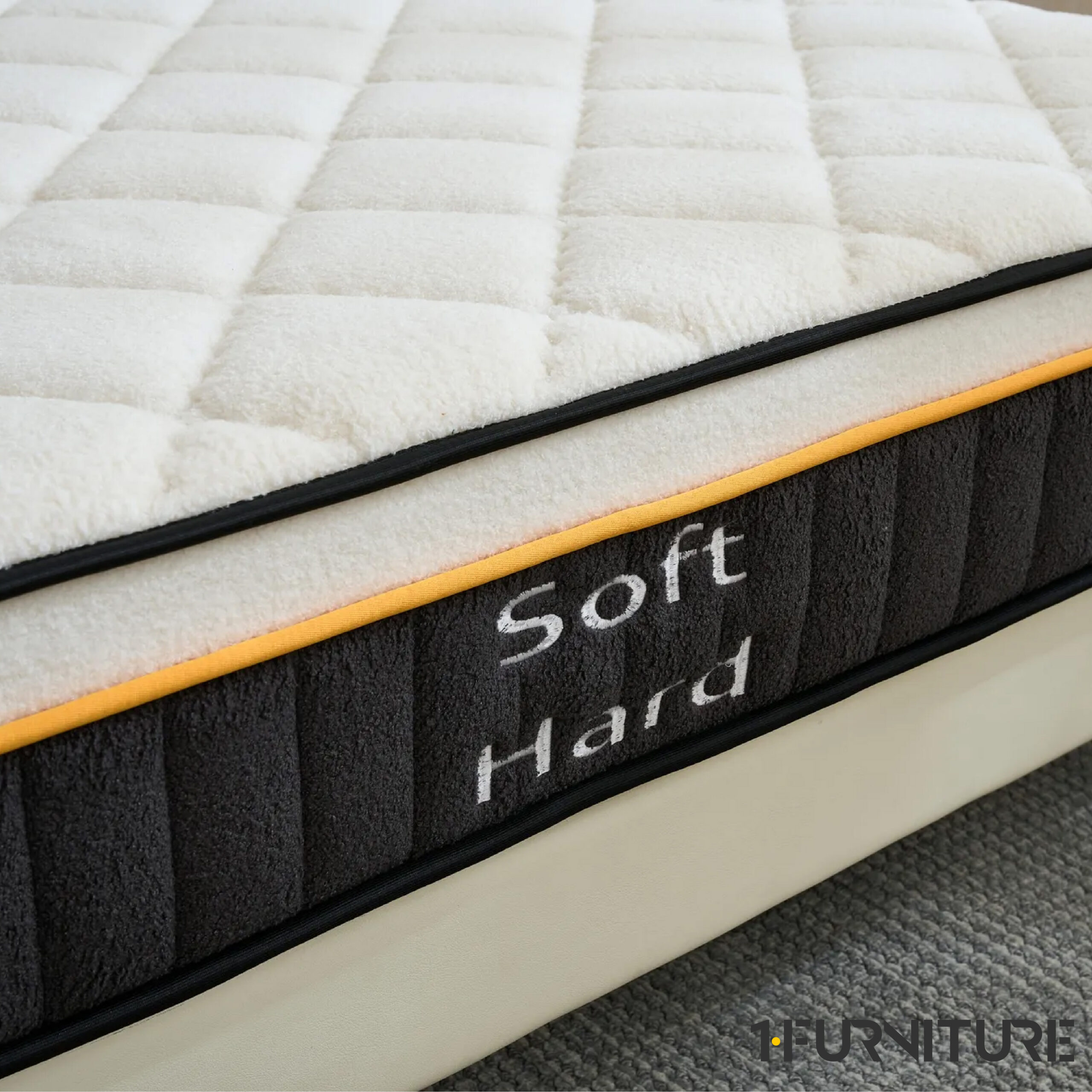 Teddy-Lux-5-01-scaled