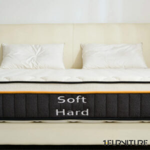 Teddy-Lux-6-01-scaled