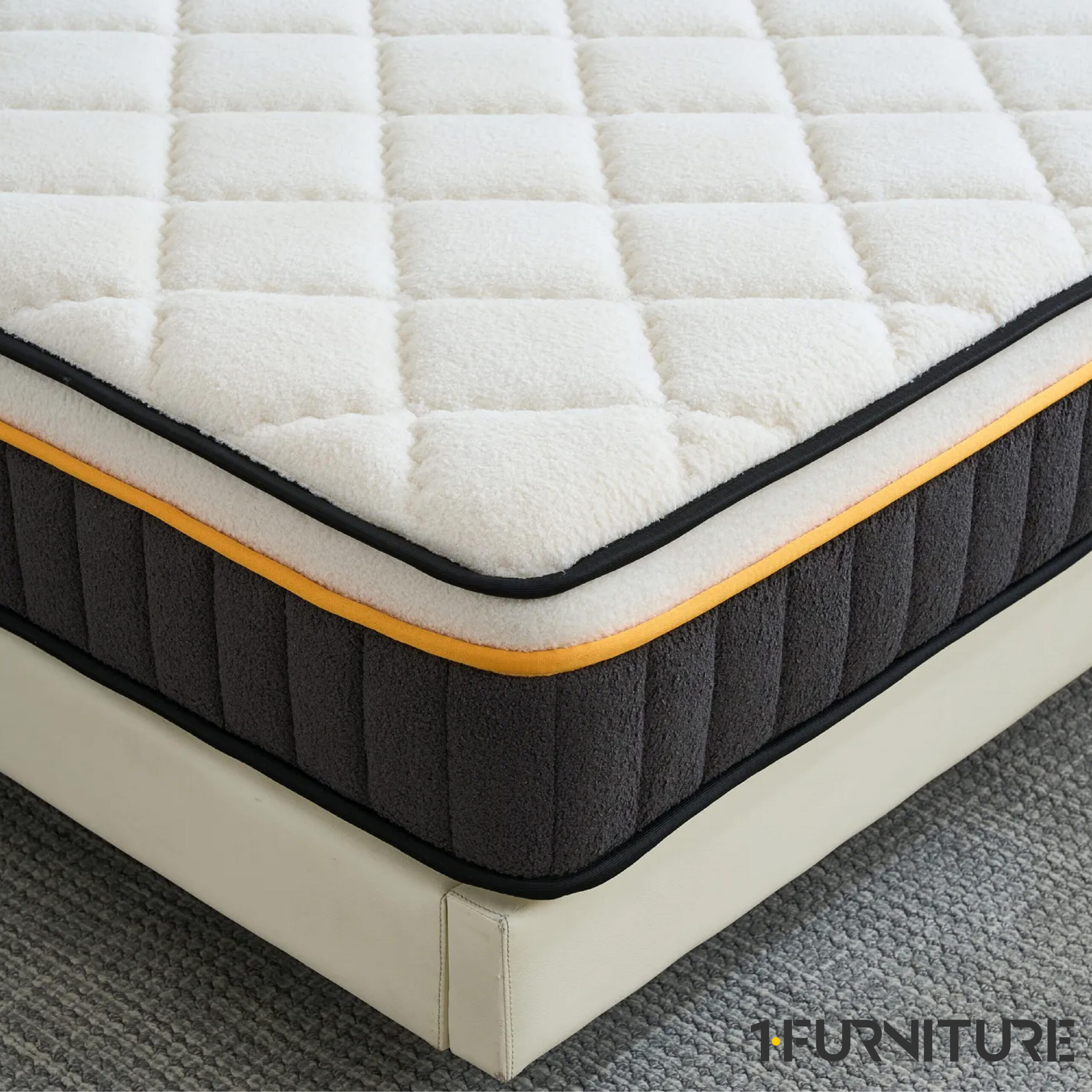 Teddy-Lux-7-01-scaled