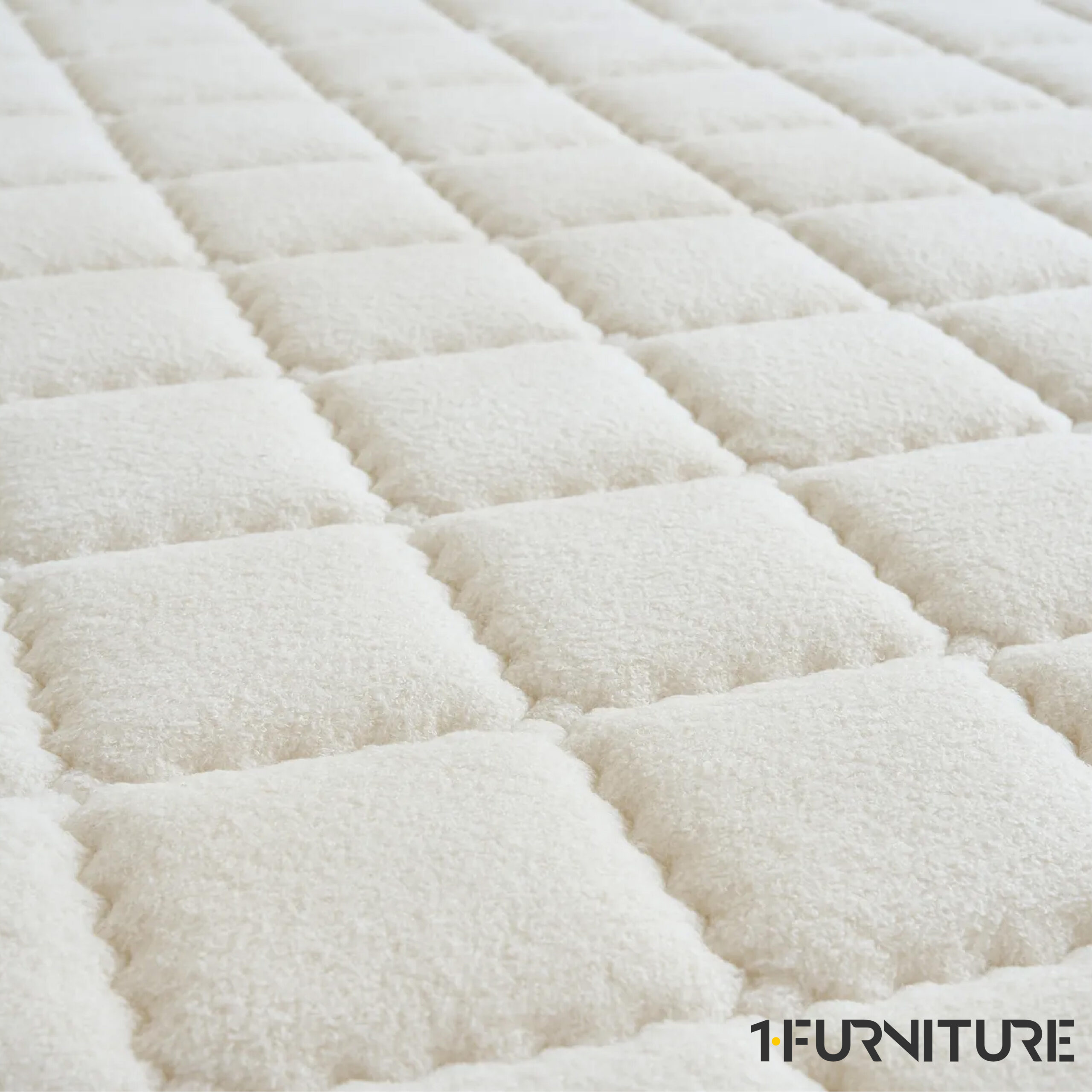 Teddy-Lux-8-01-scaled