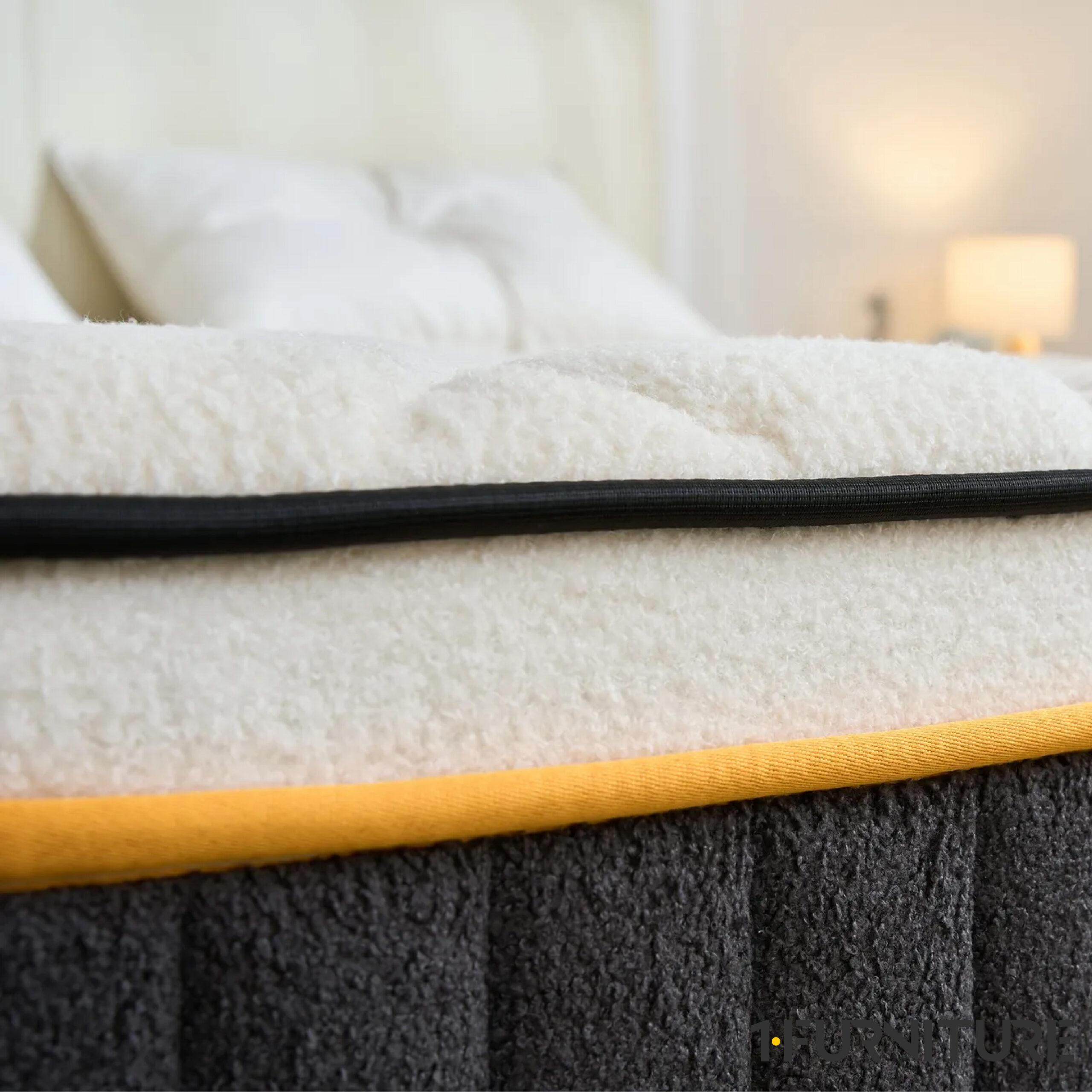 Teddy-Lux-9-01-scaled