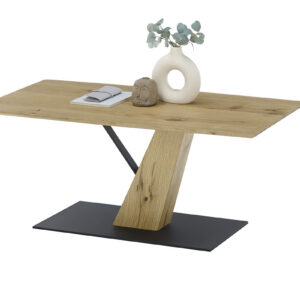 BRESCIA-58930-AS-seitlich Deko-EB-169_23T_grob