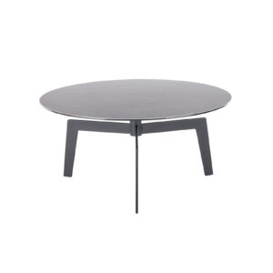 BUENA VISTA-58430-ZS-frontal frei-EB-346_22T_grob