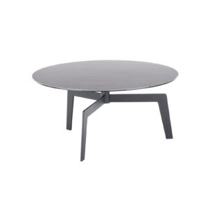 BUENA VISTA-58430-ZS-seitlich frei-EB-349_22T_grob