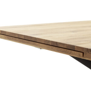 Barletta-Detail Platte Auszug-DET-11491_22_grob