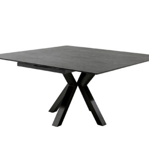 Pallini-Platte anthrazit ausgezogen ohne Deko-FUNK-12679_22_grob