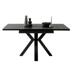 Pallini-Platte anthrazit quer mit Deko-DET-12684_22_grob